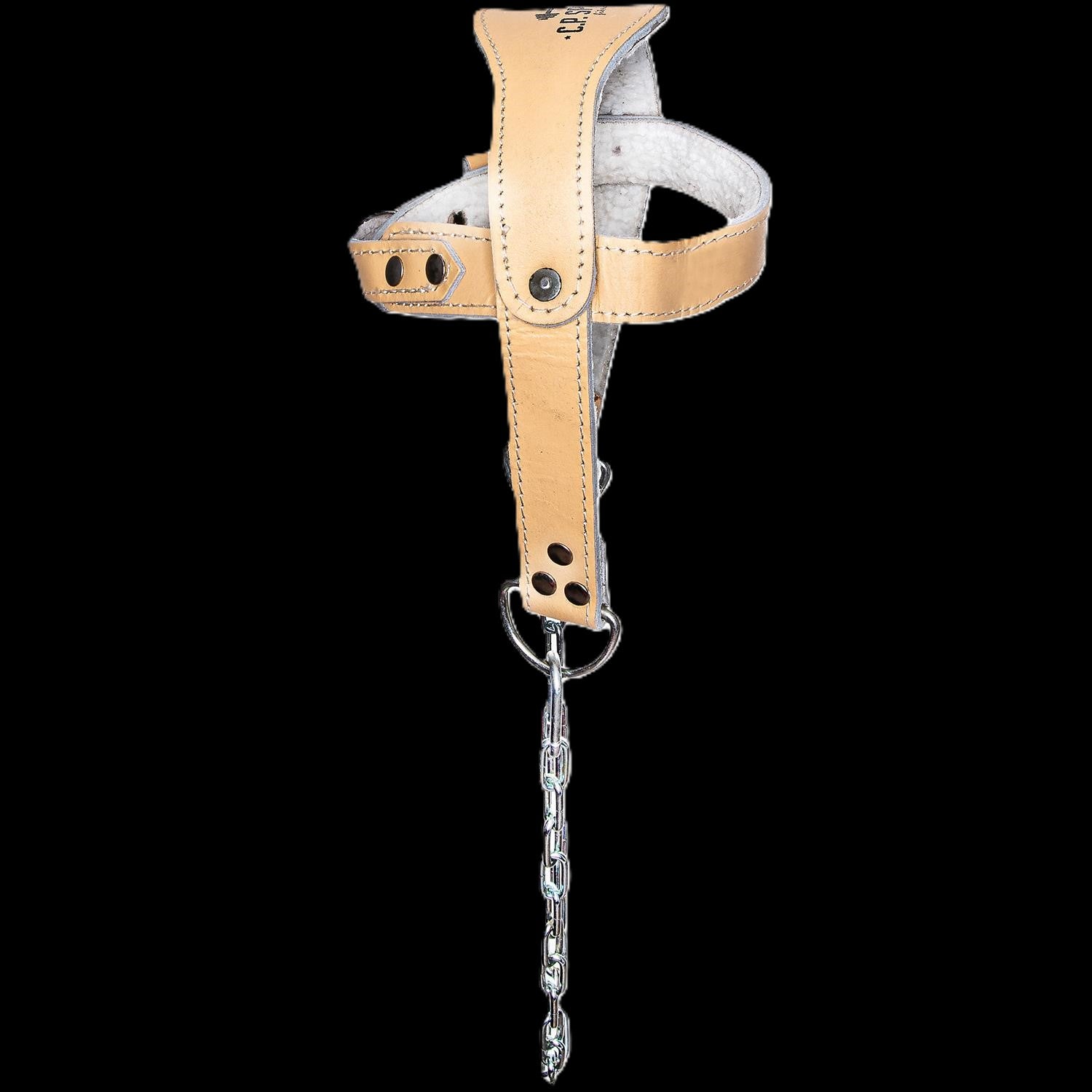 Kopf / Nackentrainer - BOX / MMA- C.P.Sports G-10