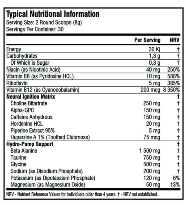 Starter 4er Paket: Gürtel - Creatine + Hellfire Neuro+ BCAA Amino